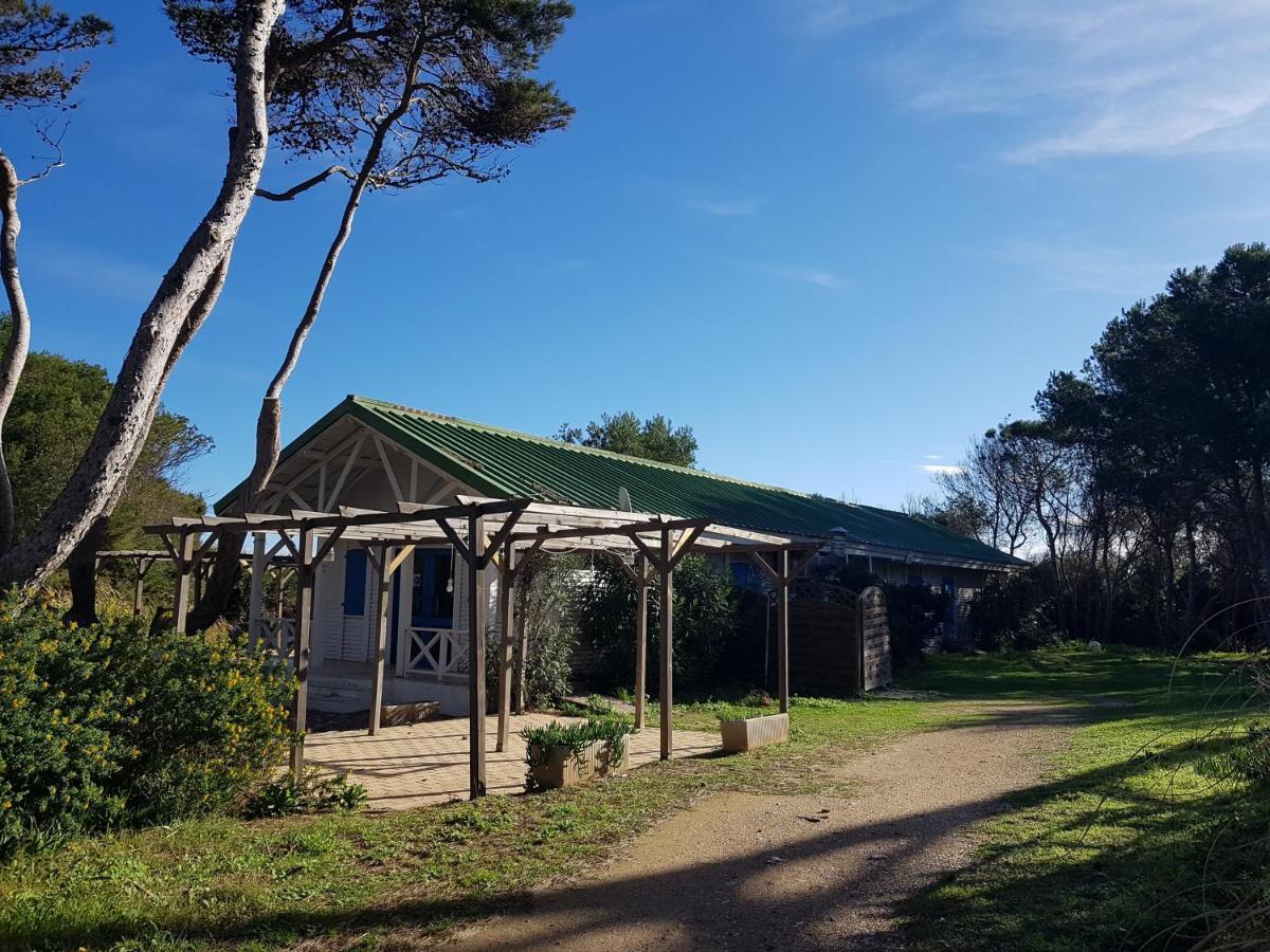 Le Studio De Giens Hyères Exterior foto